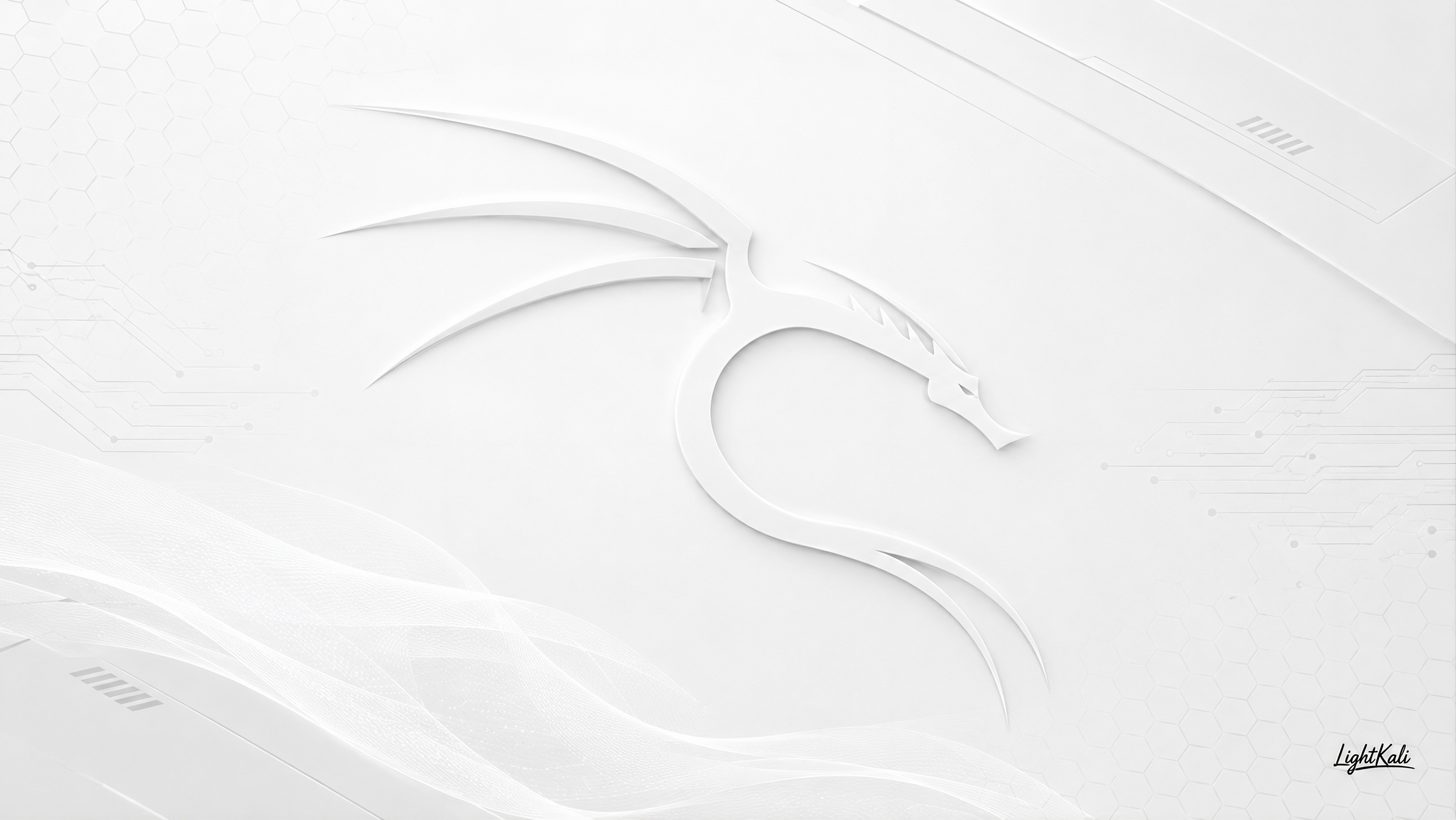 Light Kali Wallpaper 17