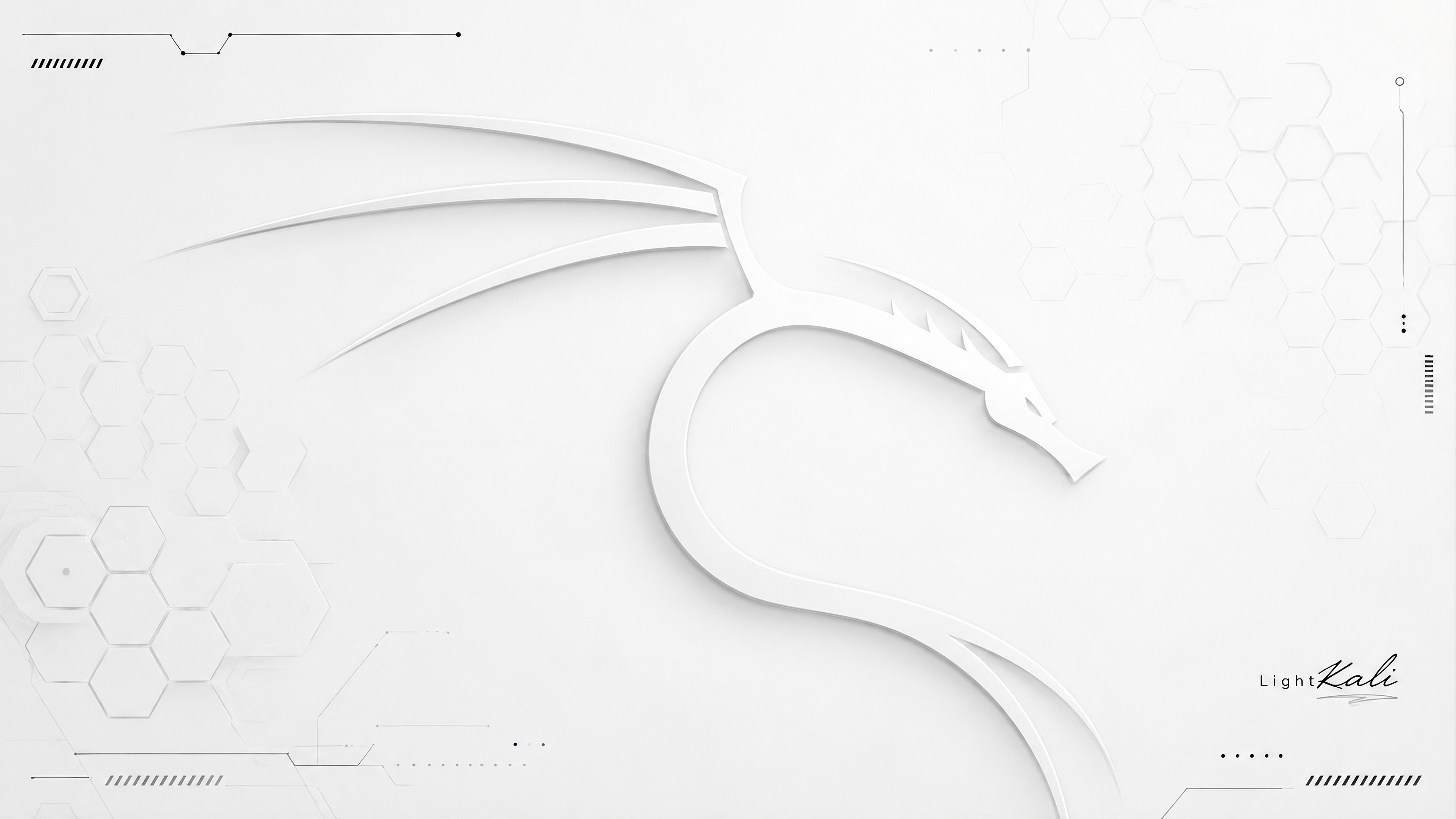 Light Kali Wallpaper 24