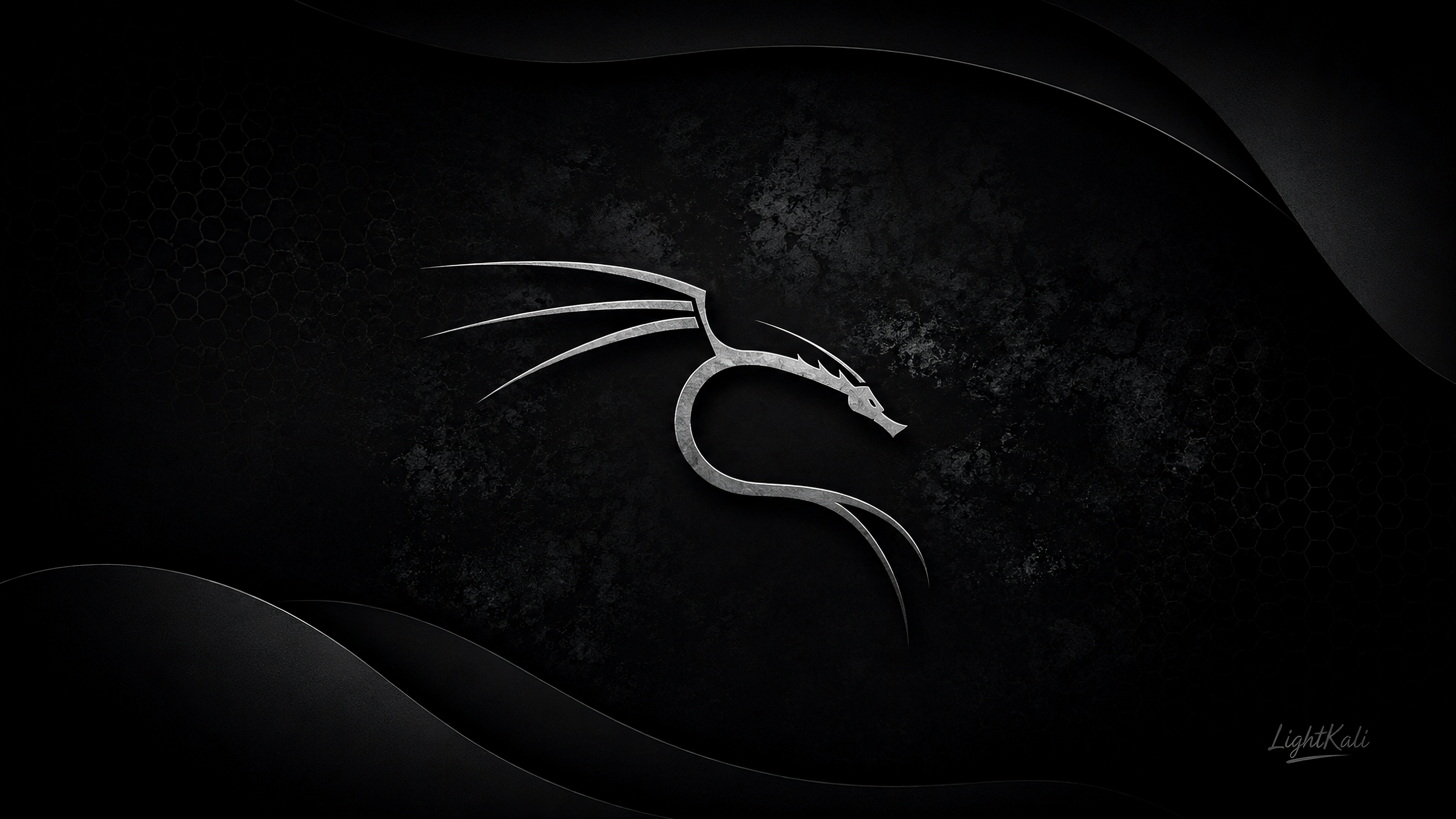 Light Kali Wallpaper 8
